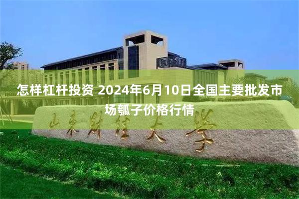 怎样杠杆投资 2024年6月10日全国主要批发市场瓠子价格行情