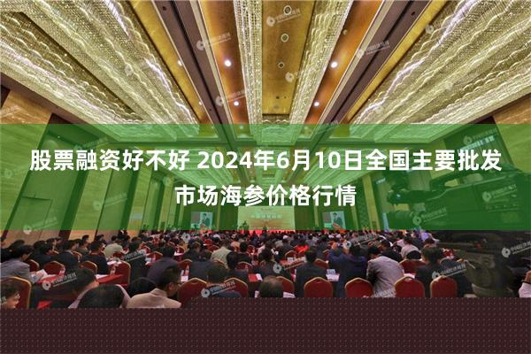 股票融资好不好 2024年6月10日全国主要批发市场海参价格行情