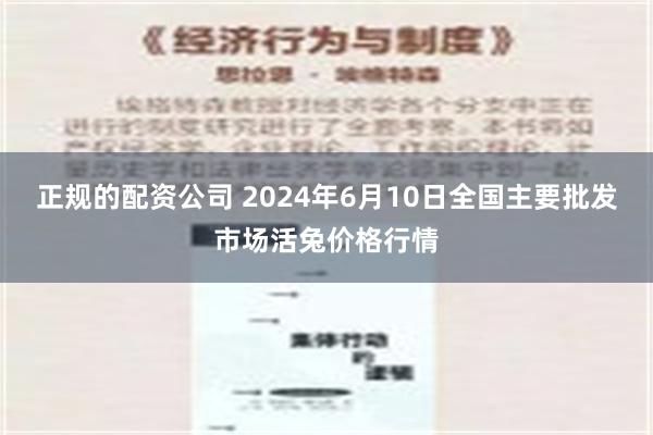 正规的配资公司 2024年6月10日全国主要批发市场活兔价格行情