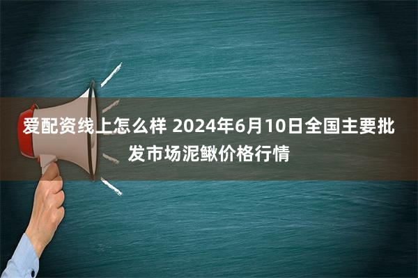 爱配资线上怎么样 2024年6月10日全国主要批发市场泥鳅价格行情