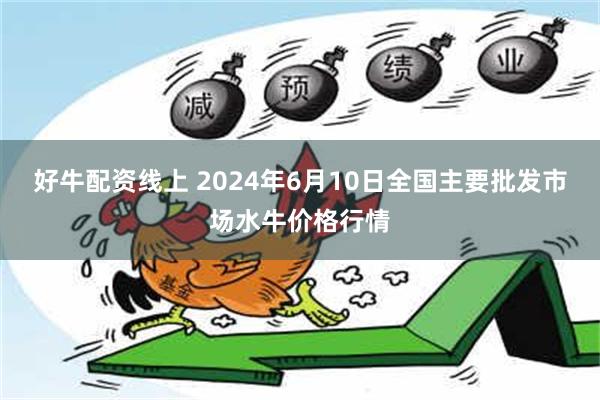 好牛配资线上 2024年6月10日全国主要批发市场水牛价格行情