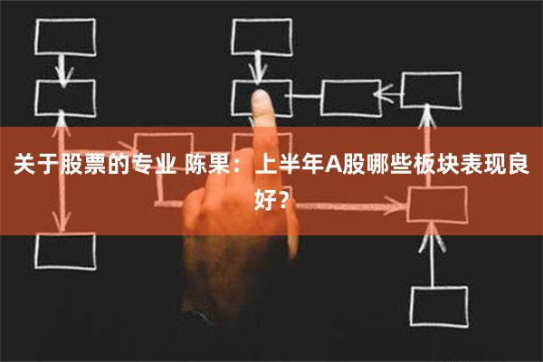 关于股票的专业 陈果：上半年A股哪些板块表现良好？