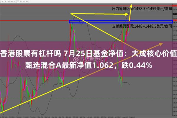 香港股票有杠杆吗 7月25日基金净值：大成核心价值甄选混合A最新净值1.062，跌0.44%