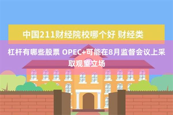 杠杆有哪些股票 OPEC+可能在8月监督会议上采取观望立场