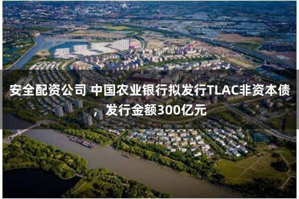 安全配资公司 中国农业银行拟发行TLAC非资本债，发行金额300亿元