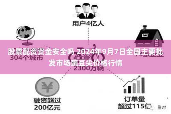 股票配资资金安全吗 2024年9月7日全国主要批发市场豌豆尖价格行情