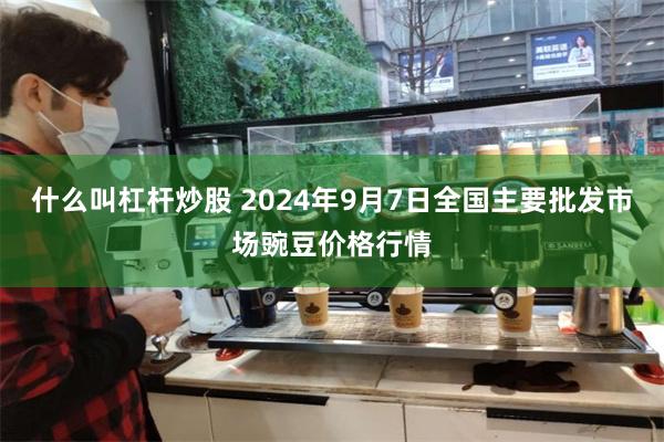 什么叫杠杆炒股 2024年9月7日全国主要批发市场豌豆价格行情