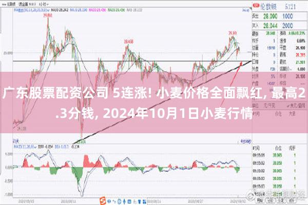 广东股票配资公司 5连涨! 小麦价格全面飘红, 最高2.3分钱, 2024年10月1日小麦行情