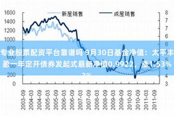 专业股票配资平台靠谱吗 9月30日基金净值：太平丰盈一年定开债券发起式最新净值0.9922，涨1.53%