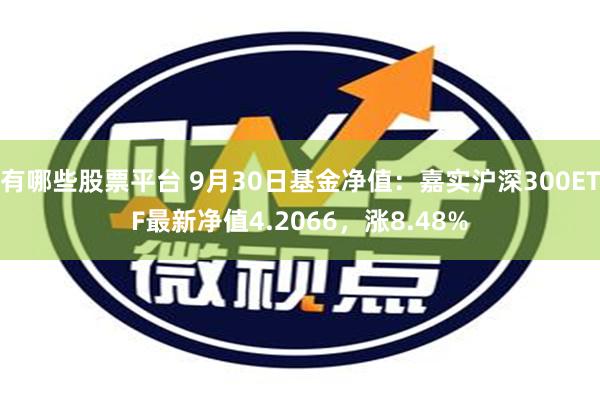 有哪些股票平台 9月30日基金净值：嘉实沪深300ETF最新净值4.2066，涨8.48%