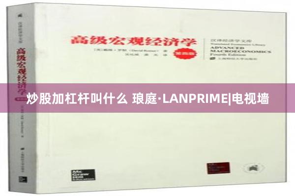 炒股加杠杆叫什么 琅庭·LANPRIME|电视墙