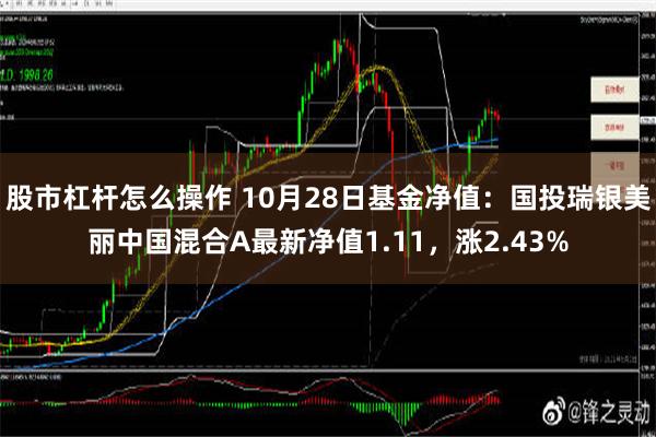 股市杠杆怎么操作 10月28日基金净值：国投瑞银美丽中国混合A最新净值1.11，涨2.43%