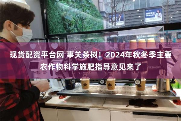 现货配资平台网 事关茶树！2024年秋冬季主要农作物科学施肥指导意见来了