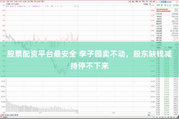 股票配资平台最安全 李子园卖不动，股东缺钱减持停不下来