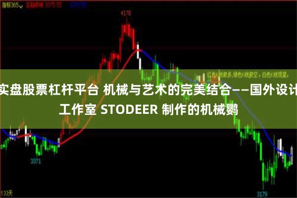 实盘股票杠杆平台 机械与艺术的完美结合——国外设计工作室 STODEER 制作的机械鹦