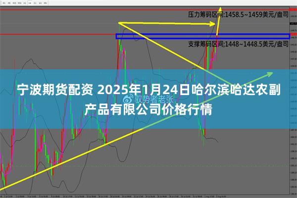 宁波期货配资 2025年1月24日哈尔滨哈达农副产品有限公司价格行情