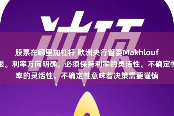 股票在哪里加杠杆 欧洲央行管委Makhlouf：中性利率的作用有限。利率方向明确。必须保持利率的灵活性。不确定性意味着决策需要谨慎